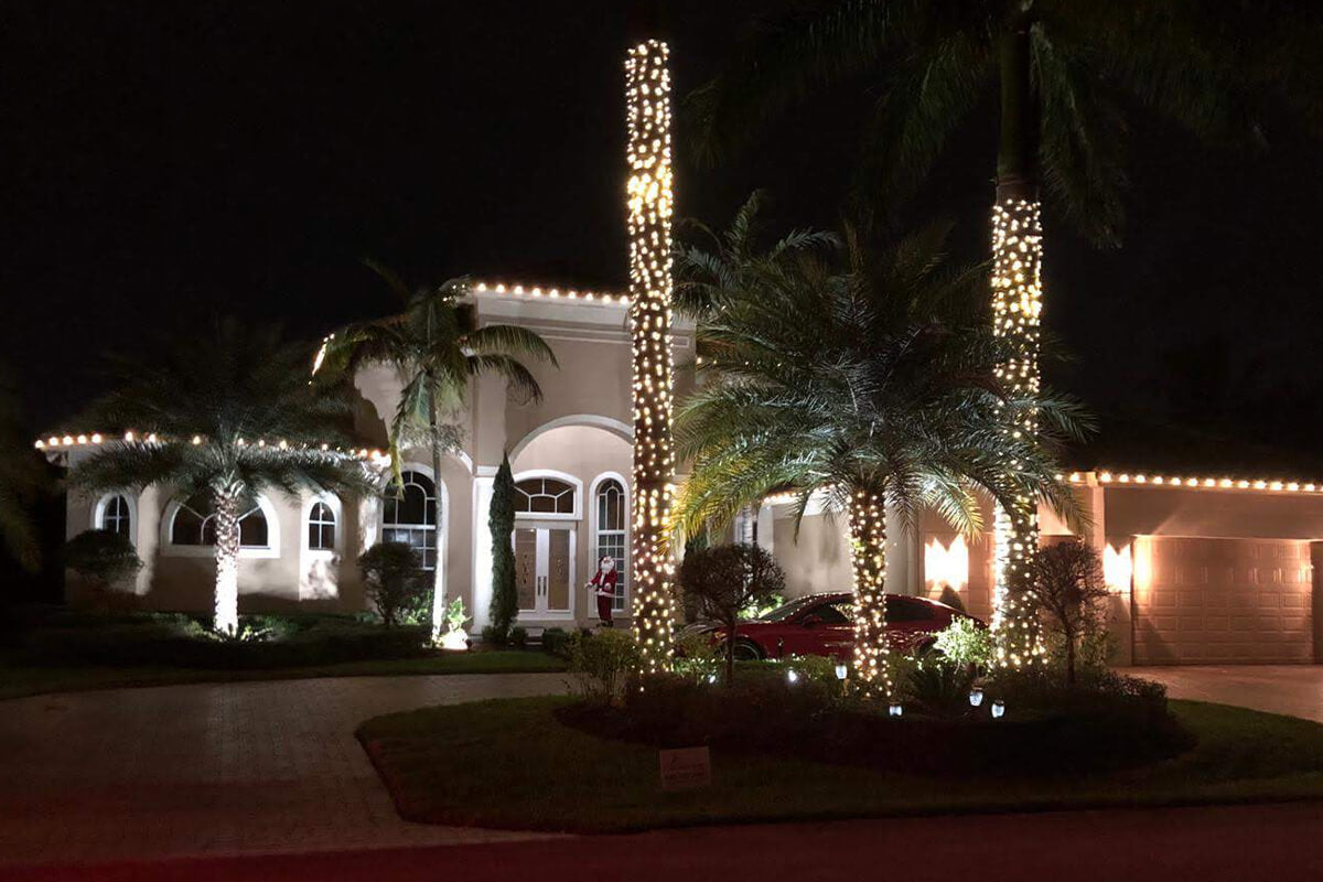 Christmas Lights